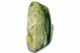 Freestanding Gary Green Jasper (Larsonite) Bog Wood - Oregon #377826-2